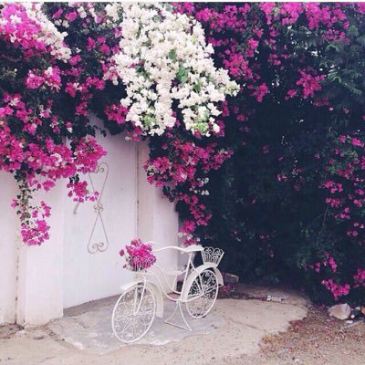 L15f2222's profile picture. ..اللہْم اجَعل قبَريّ بعْد فُراقّ الدُنياِ اجَمِل مسَكنّ تِنامْ .instgram♧L15f2222