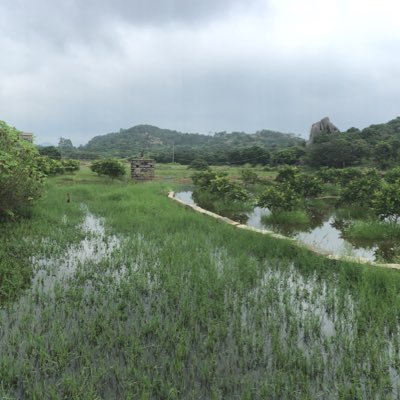 CHENSJJJ's profile picture. 大脑每天烧掉好几碗饭