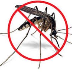 Buy Mosquito Nets @buy_nets Mosquito Nets For Sale Online @buy_nets  Be Prepared If You Are Travelling Abroad #MosquitoNet #Mosquito #Zika #Malaria #Rio2016
