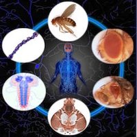 Girirajan Lab (@girirajanlab) 's Twitter Profile