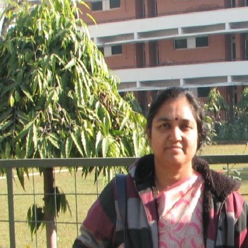 Professor of Computer Science & Engineering, Researcher