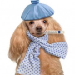 Smilesad_'s profile picture. -