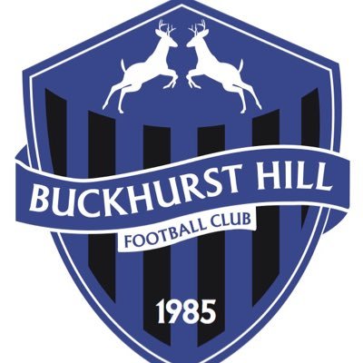 Buckhurst Hill Wildcats Centre - follow our growing Lionesses' teams. Yr2 and upwards. Under 8 - Under 16 teams. Contact us at Craig.Sherrin@bhfc.co.uk ⚽