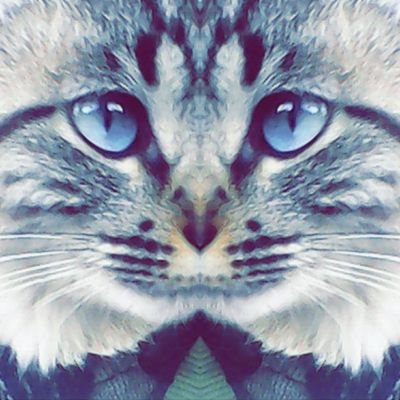 JuuArauu's profile picture. 🔥