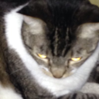 Beelzebub13's profile picture. 