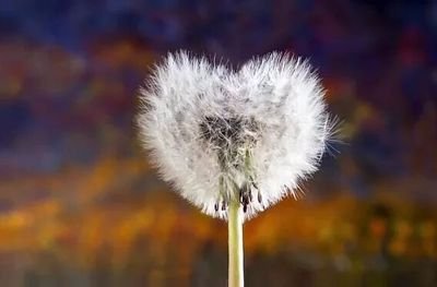 biomedmedikal's profile picture. 