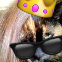 El prouto (@mathouprout) 's Twitter Profile