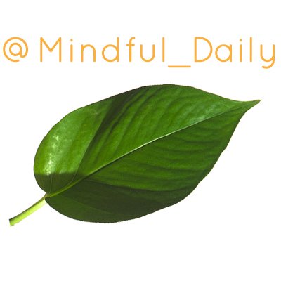 Daily mindfulness reminders. Short thoughts to help you reconnect with the present moment, often with a humorous twist. Also, @KathyKoller3 @RadianceTVshow