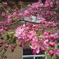 Genevieve Anderson (@gen_anderson) 's Twitter Profile