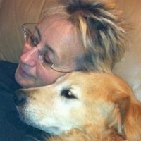 Gibbsy (@msdugibbley) 's Twitter Profile
