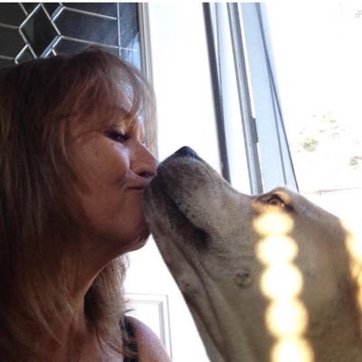 williew47's profile picture. retired teacher