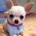 judy sale (@judysale23) Twitter profile photo judy sale (@judysale23) Twitter profile photo