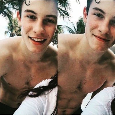 SPerdedor's profile picture. Shawn Mendes marry me. Just a unicorn nerd fanboy from italy, nothing else
