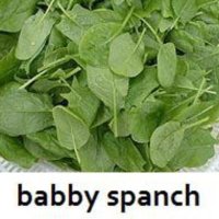 Babby spanch discount
