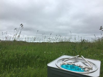 mizu_blow's profile picture. トライアングル叩いたりオケ作ったり、息抜きの合間に会社行ったりしてます。 ラジオと音楽聴くのが好きです。好きな肉は鶏肉。ラーメンは体に悪くてなんぼ。 最近フィルムカメラ触り始めました。主にLeica IIIf とPENTAX MX。難しいです。散歩しながらゆるく楽しんでいきたいです。