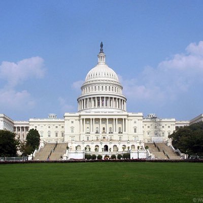 capitol_haiku's profile picture. A haiku for you/On this day in politics./Harder than it seems.