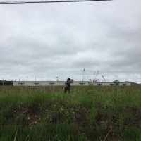 デブ声の方a.k.a二番風呂@水風呂 (@mizu_flow) 's Twitter Profile