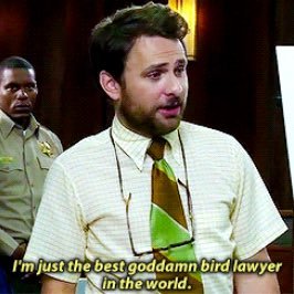 bird law