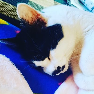 次郎さんのプロフィール画像