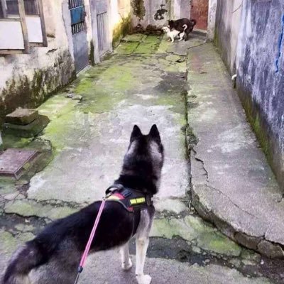 Weber39744153's profile picture. nothing special