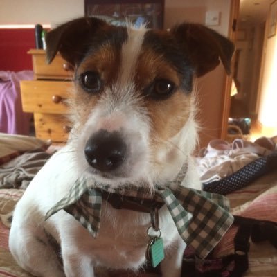 otleystore's profile picture. The little shop with lots to offer - stop here and check us out! otleystore@gmail.com