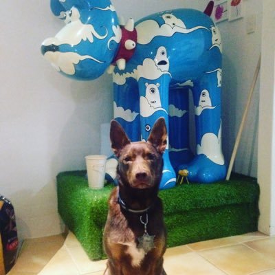 rodin22's profile picture. 