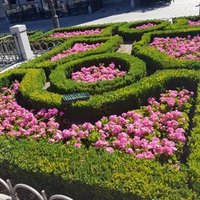 Mar Amate Galvez (@marategal) 's Twitter Profile