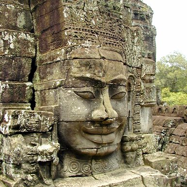 sarinbeehl's profile picture. 