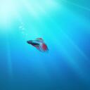 jason bun - @littlejasonn - Twitter