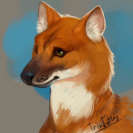 @snoopyt7