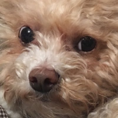 coryfinnegan's profile picture. My words are my own.