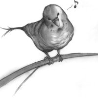 オウムさん (@parakeetparrot3) 's Twitter Profile