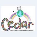 Cedar IPS (@cedarips) 's Twitter Profile