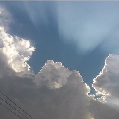 pulpart_'s profile picture. 