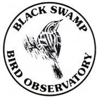 Black Swamp Bird Obs (@bsbobird) 's Twitter Profile