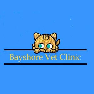 Bayshore Veterinary