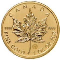 testmarketer's profile picture. 