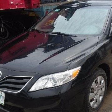 searchtermsltd's profile picture. A search for your convenience