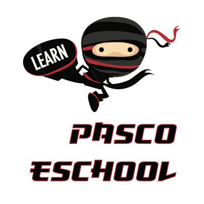 Pasco County's Virtual Instruction Program
