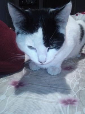 monicaj1512's profile picture. 