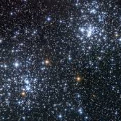 AdamEvo5's profile picture. ' Everyone has a plan until they get punched in the face ' - Mike Tyson