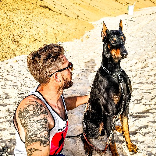 Producción y Composición Musical + Fotografía y Video + Animales y Naturaleza
(Tres Perros= a Triple Alegría)