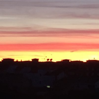 GMerino8's profile picture. 