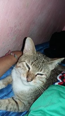 Liburan