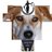 duttap1's profile image