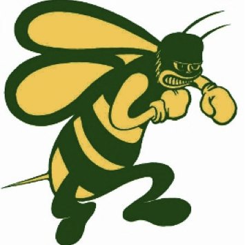 Big school opportunities, small school feel! Check us out! Home of the School of Engineering & Biomedical Sciences, The Arts Academy, & AMAC! We’re ALL Hornets!