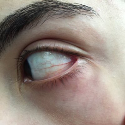 crrystallised's profile picture. некому толкать свои грязные речи