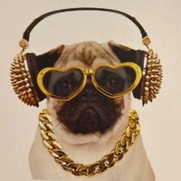 (((Will Ross))) (@twistedbyknaves) 's Twitter Profile Photo