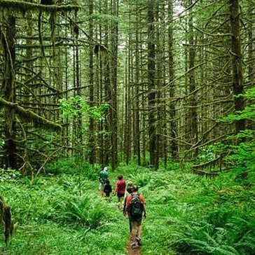 hikeandcamp's profile picture. Hey Everyone! 
new website for Great Hiking and Camping Gear! 
https://t.co/7AZb92mGfR
Check it out even have alot of FREE! Stuff