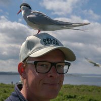 Marcel Klootwijk(@Vogelsinbeeld) 's Twitter Profile Photo